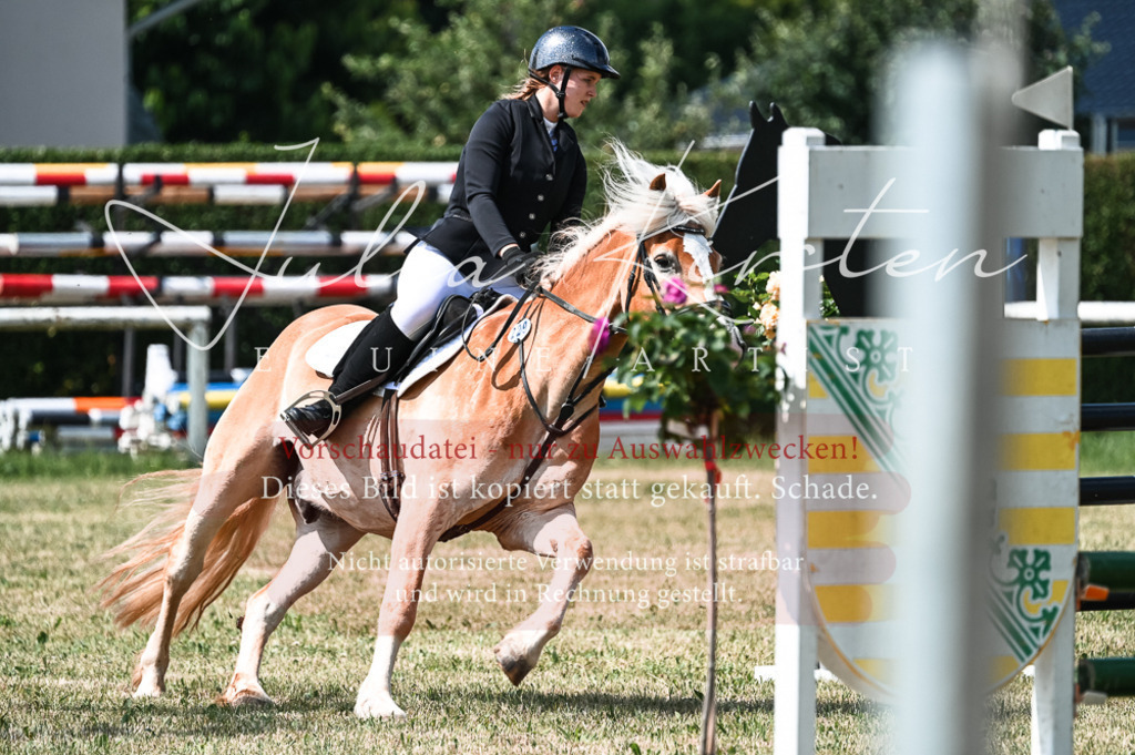 DSC_8730 | Pferde- und Turnierfotografie in Westsachsen. Pferdeportraits, Auftragszeichnungen und intuitive Kunst.