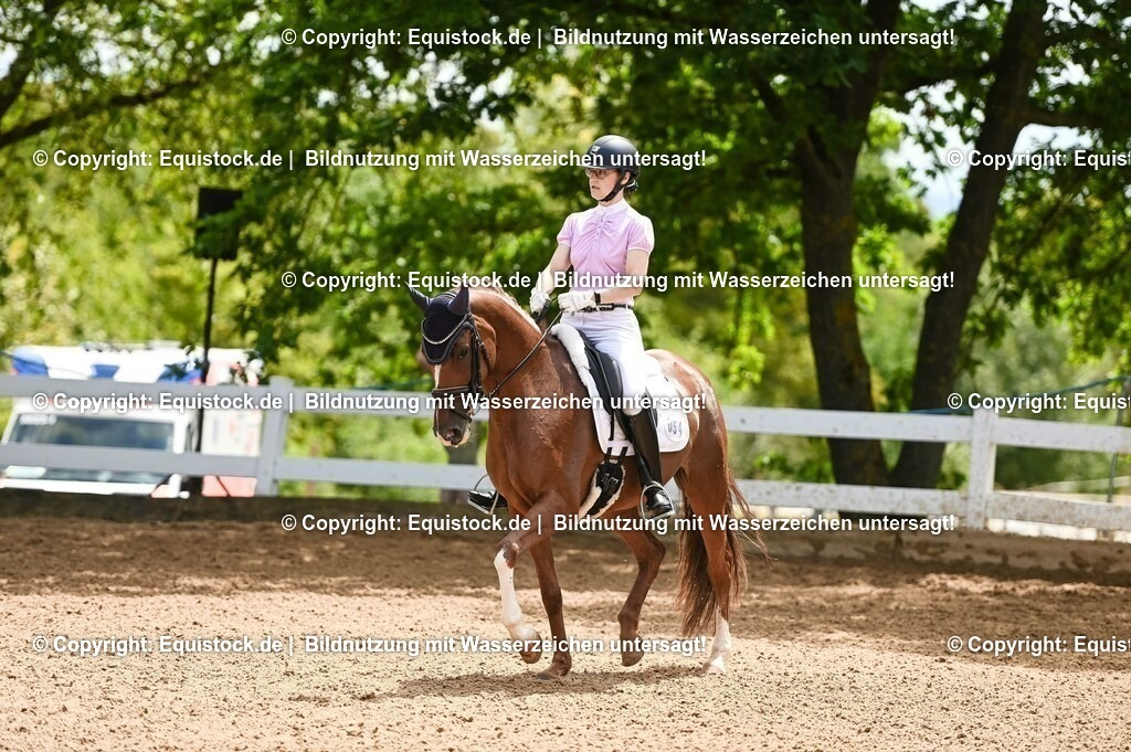 20230716_03_Dressurprfg. Kl.L - Tr._0212 | equistock