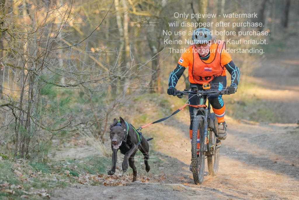 Sa_Bike-149 | stephaniefillaphotographie - Realisiert mit Pictrs.com