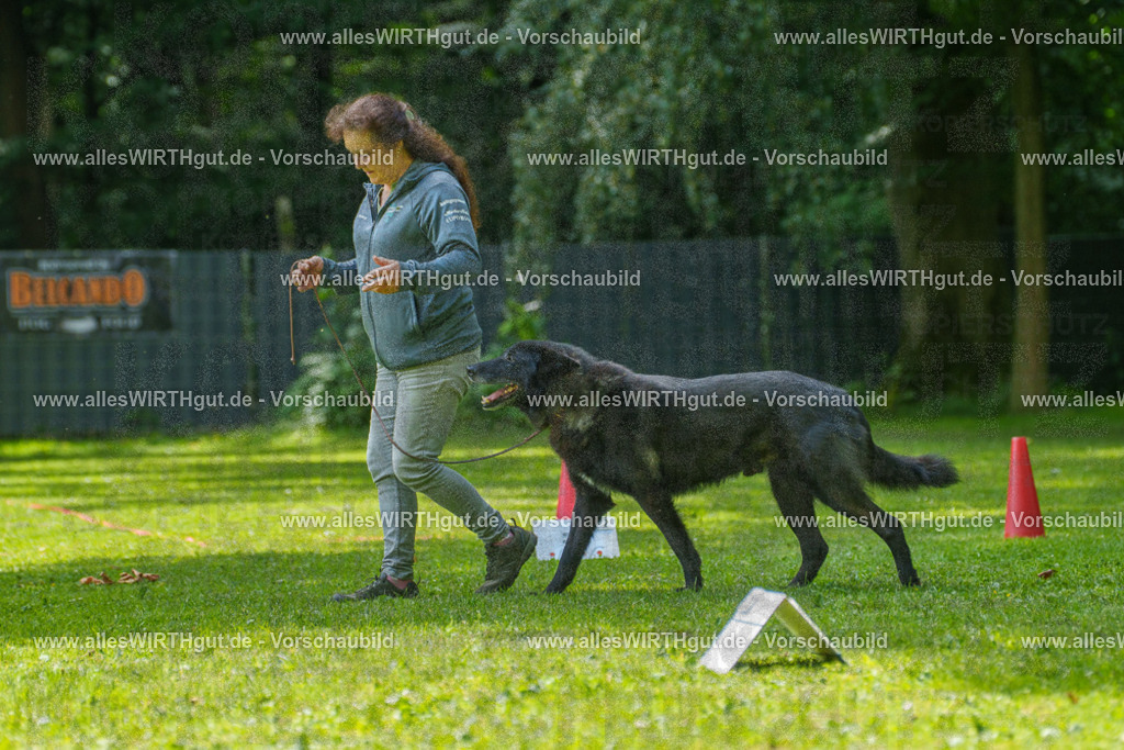 @allesWIRTHgut_Tierfotografie - www.allesWIRTHgut.de - 7R504718 | Professionelle Tierfotografie in Mönchengladbach von Daniel Wirth (allesWIRTHgut). Liebevolle & natürliche Bilder von Hunden & Katzen für unvergessliche Erinnerungen.