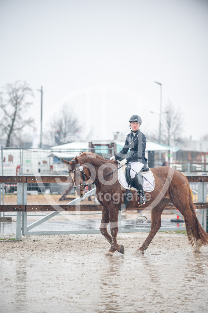 DSC_7471 | sattelsport - Realisiert mit Pictrs.com