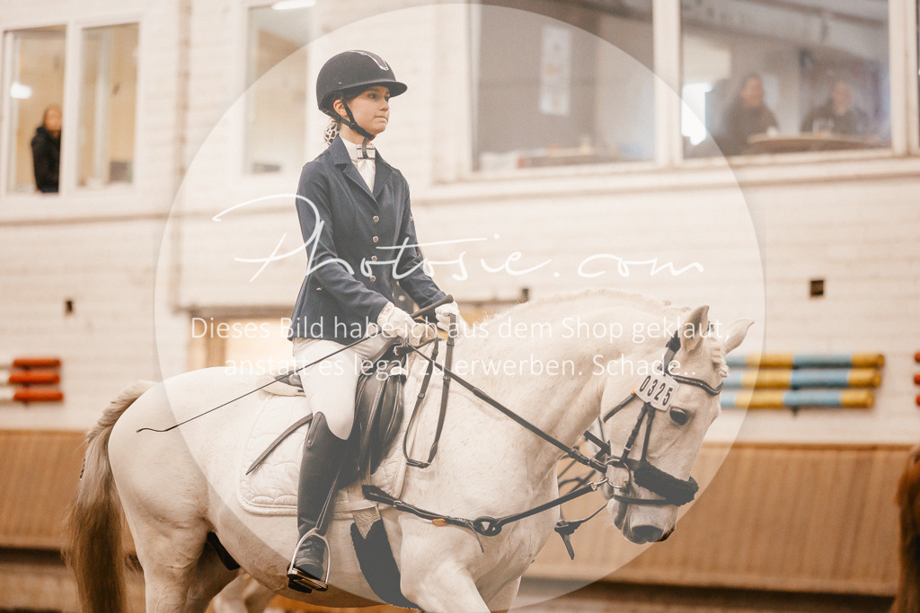 3I6A6289 | Stimmungsvolle Portraits und Reitsportfotografie im Ruhrgebiet und im Münsterland.

Pferdefotografie, Hundefotografie, Tierfotografie, Reportagen, Portraits von Tier und Mensch, Turnierfotografie in Bochum, Recklinghausen, Marl, Haltern am See, Dülmen.. - Realisiert mit Pictrs.com
