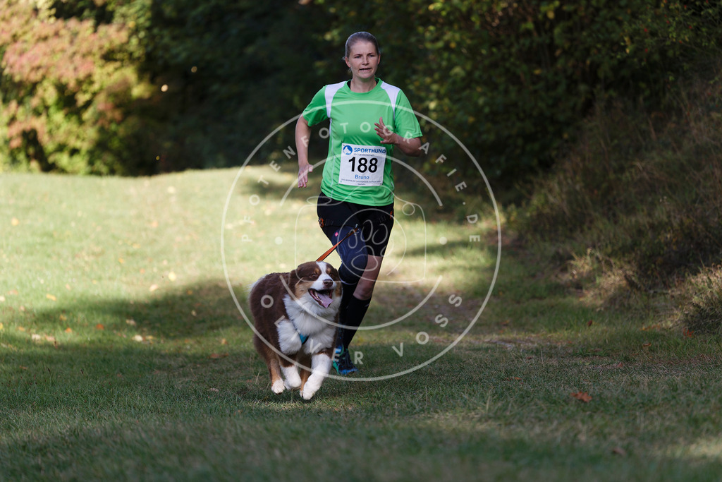 0L8A5747 | Hundefotografie, Tierfotograf, Pfotenfotografie, Fotoshooting Hund, Hunde Portrait, Hundesport, Hundeportraits, Heideshooting, Hunde, Sportfotograf, Hundefotograf, Turnierhundsport, THS,  - Realisiert mit Pictrs.com
