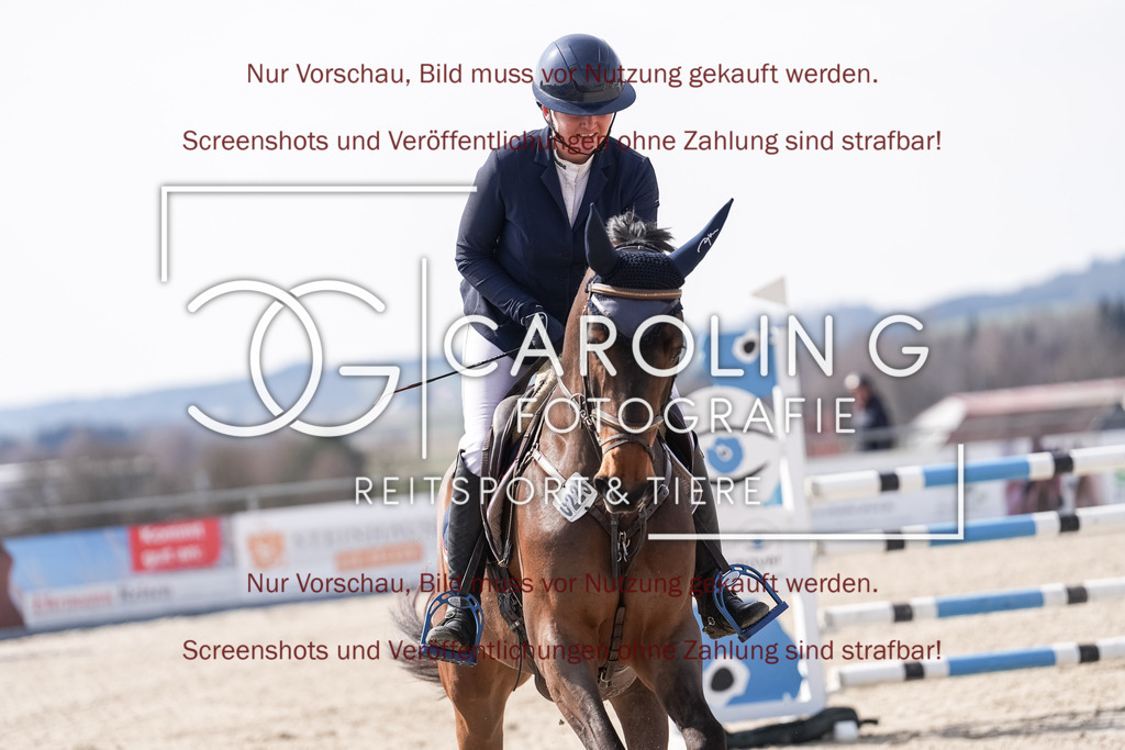 DSC05962 | Late_entry_Springturnier_Bad_Wurzach, Call_me_by_Night, Stefanie_Paul
