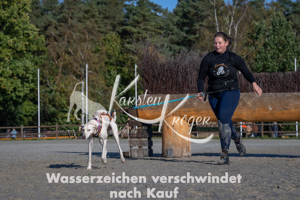 1045-_ZZ92462 | kk-dogfotos