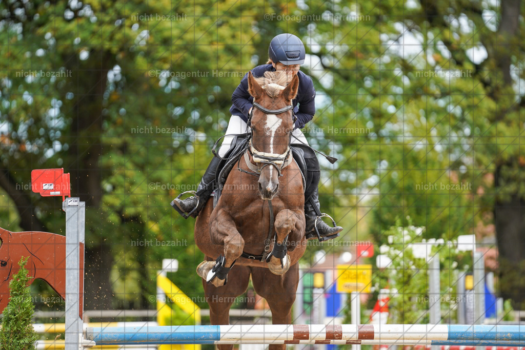 20221009-FAH08764 | Diessen am Ammersee, 2022, Dressur- und Springturnier, Reitsportbilder, Turnierfotografen Bayern, Pferdefotografen, Fotoagentur Herrmann, Turnierbilder