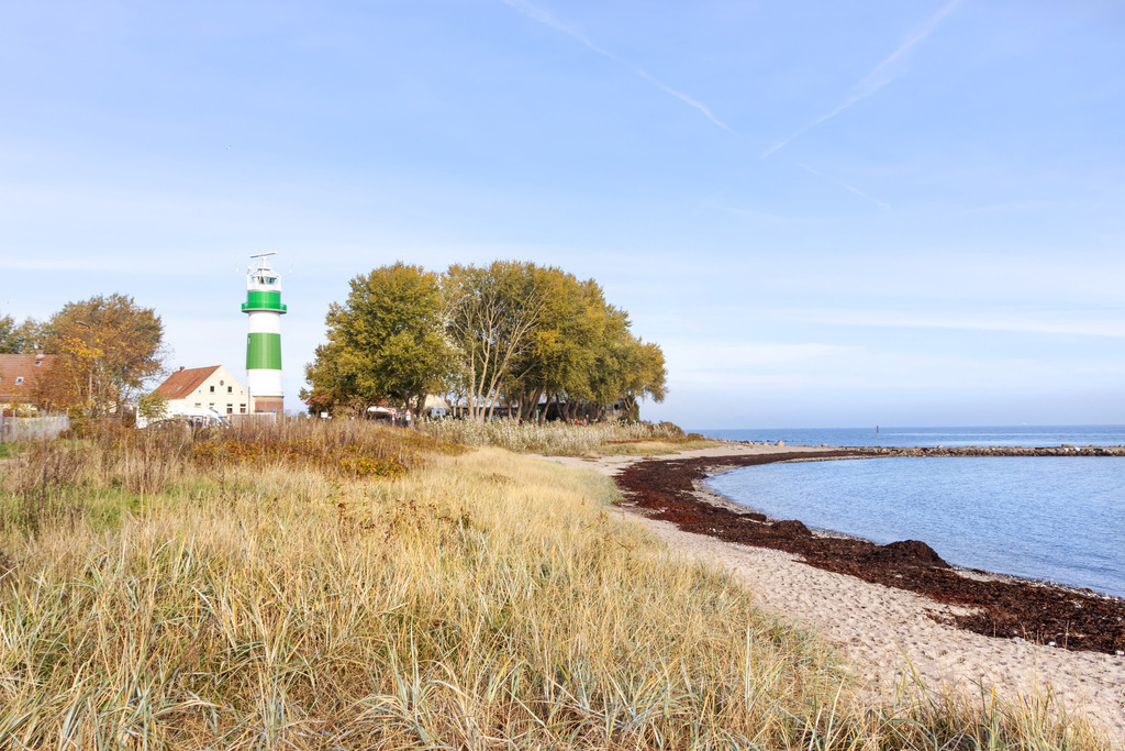 Wanndbild: Leuchtturm am Strandstrand in grün und weiß | Dieses Wandbild im Querformat zeigt einen Ostseestrand im Herbst. Im Vordergrund ist Strandhafer und der Sandstrand zu sehen. In der Ferne befindet sich ein schöner Leuchtturm in grün und weiß. Direkt neben dem Leuchtturm stehen herbstliche Bäume. Der blaue Himmel ist fast wolkenlos.  - Realisiert mit Pictrs.com