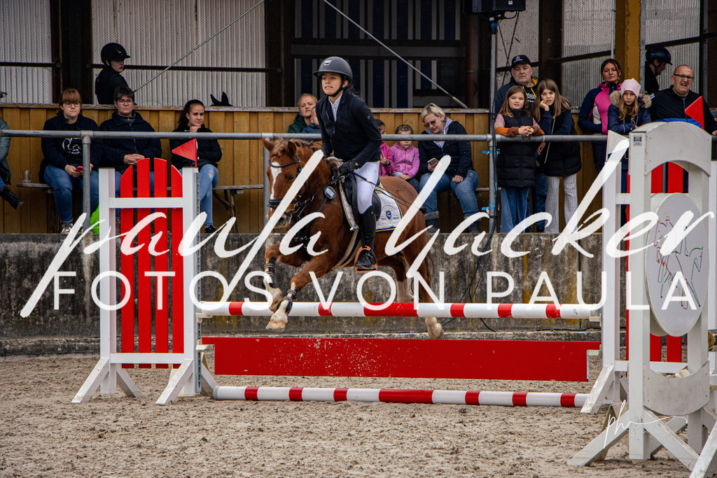 IMG_3661 | Erleben Sie dynamische Sport- und emotionale Tierfotografie in Süddeutschland mit Fotos von Paula. Spezialisiert auf Pferde- und Hundefotografie sowie Sportevents. Kontaktieren Sie mich für einzigartige und ausdrucksstarke Bilder Ihrer besonderen Momente. - Realisiert mit Pictrs.com