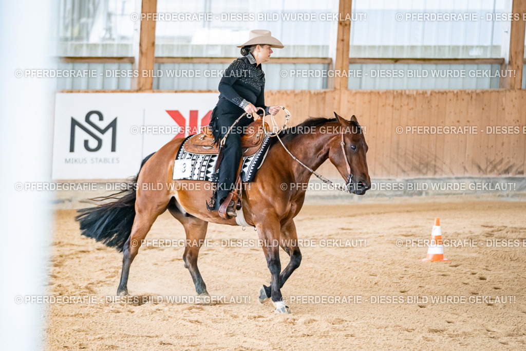 DSC01663 | Pferdegrafie