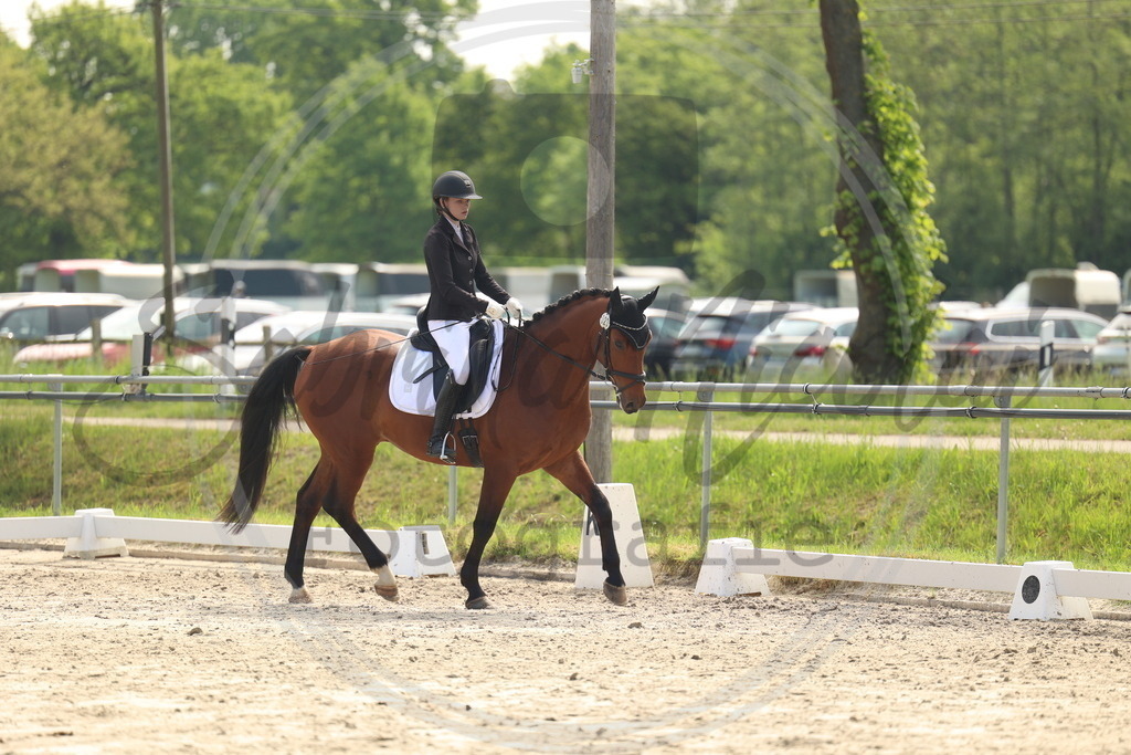 994A6425 | sabrinanicolaifotografie - Realisiert mit Pictrs.com