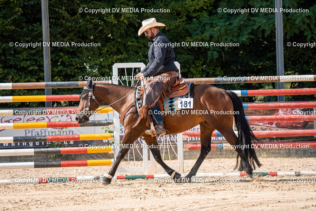 ZH100329 | dv-media-shop - Realisiert mit Pictrs.com