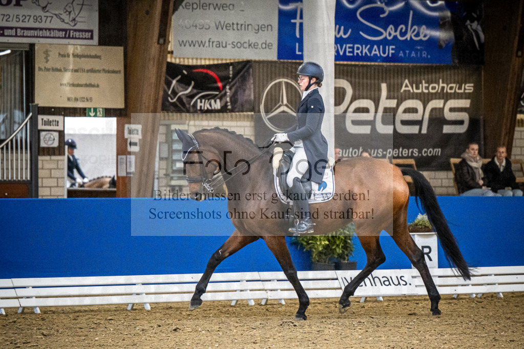 DOS_4218 | Entdecke hochwertige Reitturnierfotos von Foto Oger. Professionell, emotional und authentisch – jetzt Lieblingsmomente im Shop bestellen.Deutschlandweite Turnierfotografie. - Realisiert mit Pictrs.com