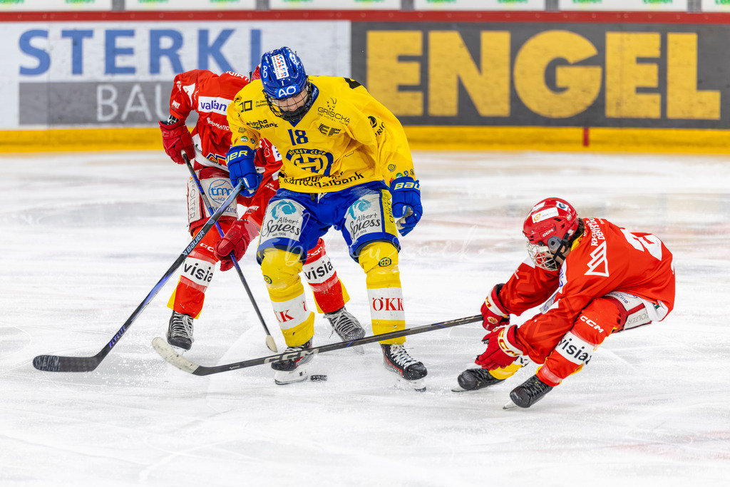 EHCB vs HCD 20262703-440075776 | Sportbilder, Sportfotograf, Hochzeits- und Eventfotografin, Flugshows, Portraits und Tiershooting, Aviation, Downhill, Nationalleague, Swissleague, International