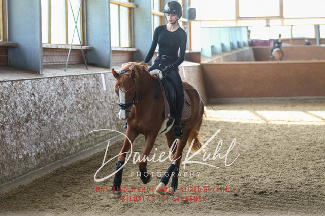 DKP42605 | Turniersportfotografie; Pferdefotografie; Dressurfotografie