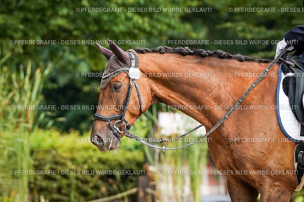 DSC00439 | Pferdegrafie