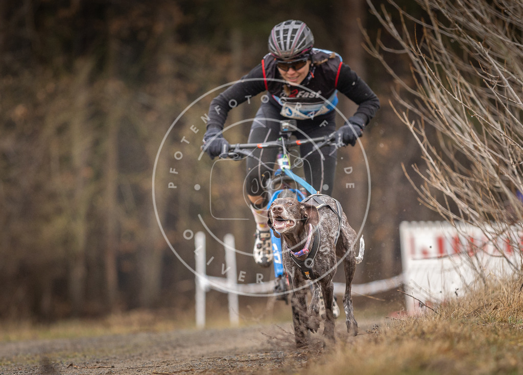 DV3A3170 | Hundefotografie, Tierfotograf, Pfotenfotografie, Fotoshooting Hund, Hunde Portrait, Hundesport, Hundeportraits, Heideshooting, Hunde, Sportfotograf, Hundefotograf, Turnierhundsport, THS,  - Realisiert mit Pictrs.com