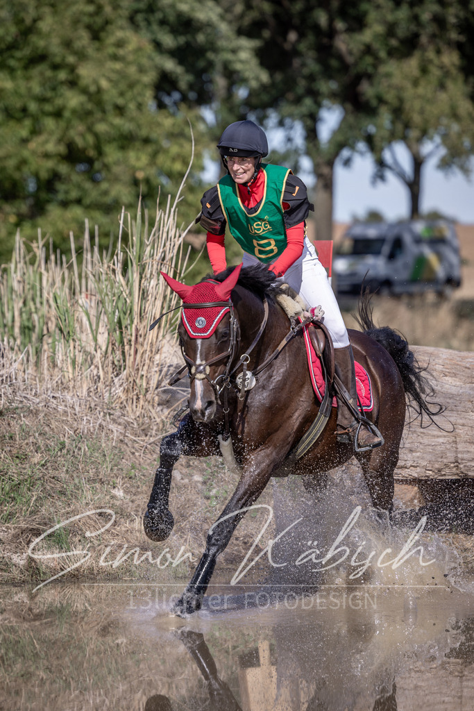 20260906-_3LI6056 | Tierfotografie Pferde, Hunde, Katzen, Haustiere.
Turnierfotografie Reitturniere, Reiten, Springreiten, Dressur in Hanau, dem Main-Kinzig-Kreis und dem Rhein-Main- Gebiet um Frankfurt