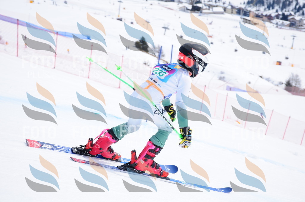 DSC_2169 | holidayphoto