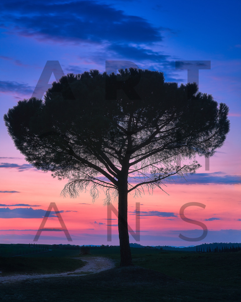 Ein Hans Fineart Original | Entdecke die Kunst von Hans Fineart - Fotografien für dein Zuhause. Verwandle deine Wände mit einzigartigen Kunstwerken und bringe die Schönheit der Welt in dein Leben. Bestelle jetzt und schaffe einen Ort der Inspiration und Eleganz.