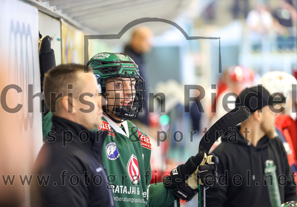 2023-09-10_131_TSV_Erding_gegen_EHC_Klostersee | Erding, Deutschland, 10.09.2023:
Eishockey, Bayernliga 2023 / 2024, Testspiel, TSV Erding gegen EHC Klostersee, Endergebnis: 10:1

Simon Franz (Erding Gladiators, #4)

Foto: Christian Riedel / fotografie-riedel.net