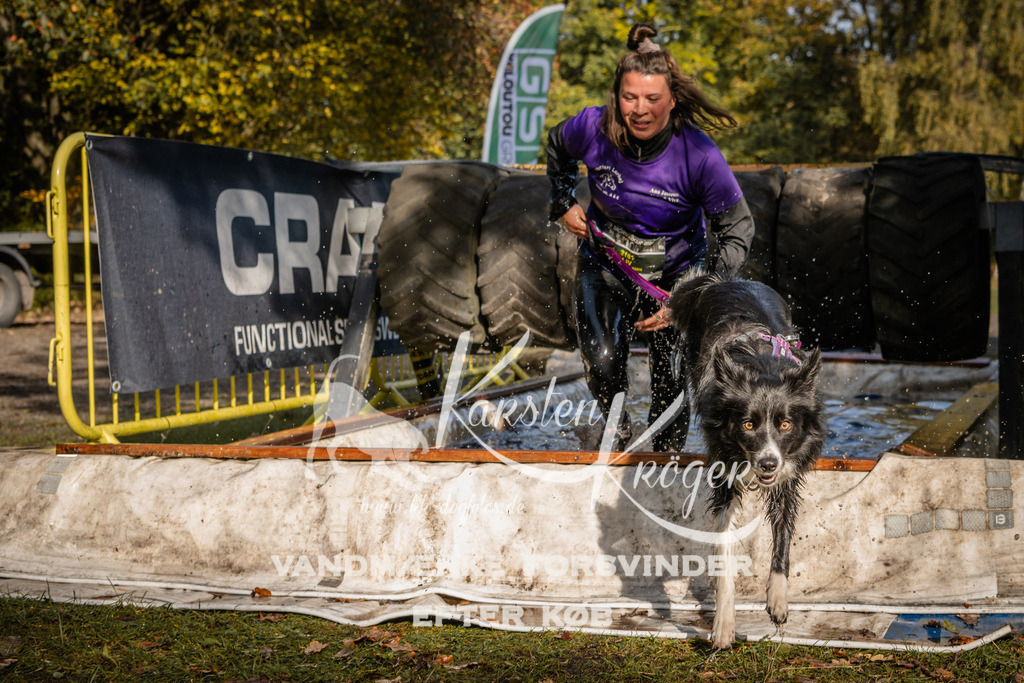 1156_ZZ93842 | kk-dogfotos