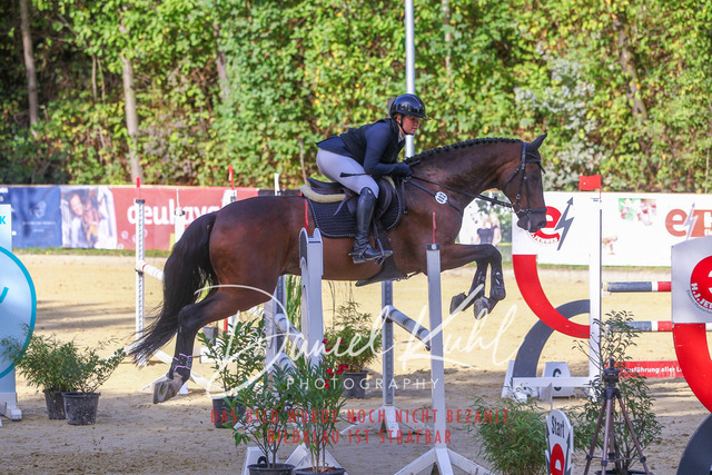 DKP42440 | Deine Turnierfotos vom Reitturnier online kaufen: Dressur, Springen & Siegerehrung. Professionelle Pferdefotografie aus dem Rheinland – als Download & Print.Alternative: Turnierfotograf für den Pferdesport: Finde deine Fotos von Dressur- und Springturnier