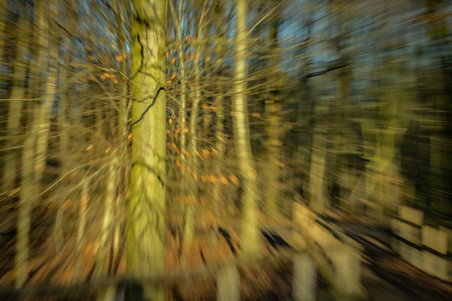 Pause | Je mehr du in der Stille verweilst, umso besser erkennst du, wer du wirklich bist.