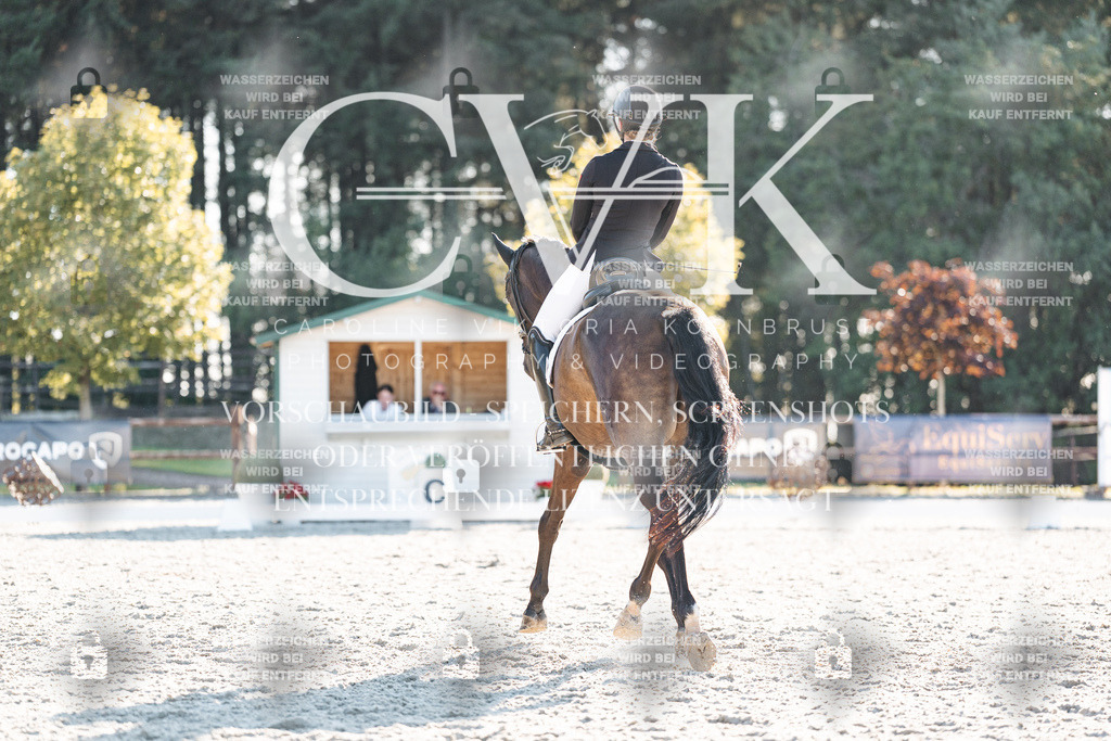 CK907157 | Turnierfotografie Pferdefotografie Trier Rheinland-Pfalz Pferdesport Reitsport Tierfotografie Sportfotografie Pferdevideo Pferdevideografie Equestrianvideography equestrianphotography  - Realisiert mit Pictrs.com