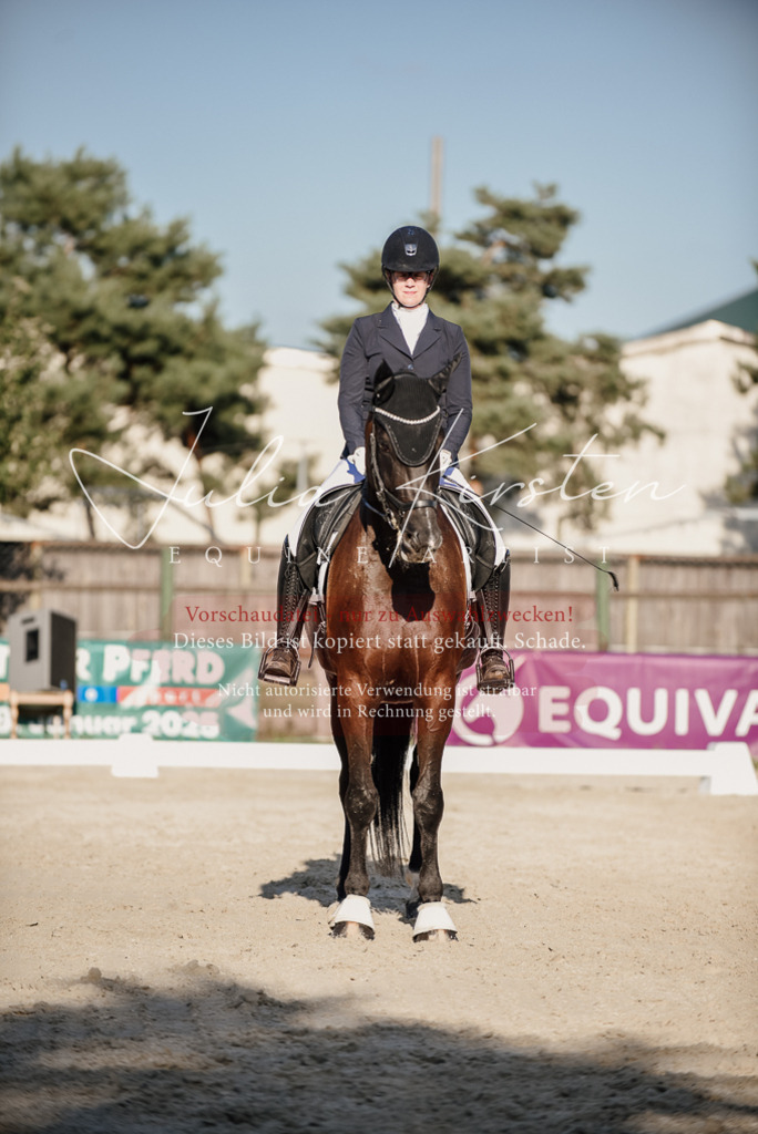 DSC_0709 | Pferde- und Turnierfotografie in Westsachsen. Pferdeportraits, Auftragszeichnungen und intuitive Kunst.