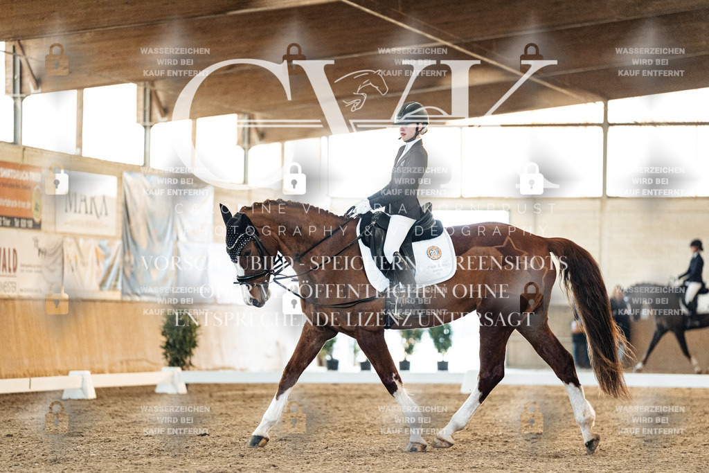 CK906767 | Turnierfotografie Pferdefotografie Trier Rheinland-Pfalz Pferdesport Reitsport Tierfotografie Sportfotografie Pferdevideo Pferdevideografie Equestrianvideography equestrianphotography  - Realisiert mit Pictrs.com