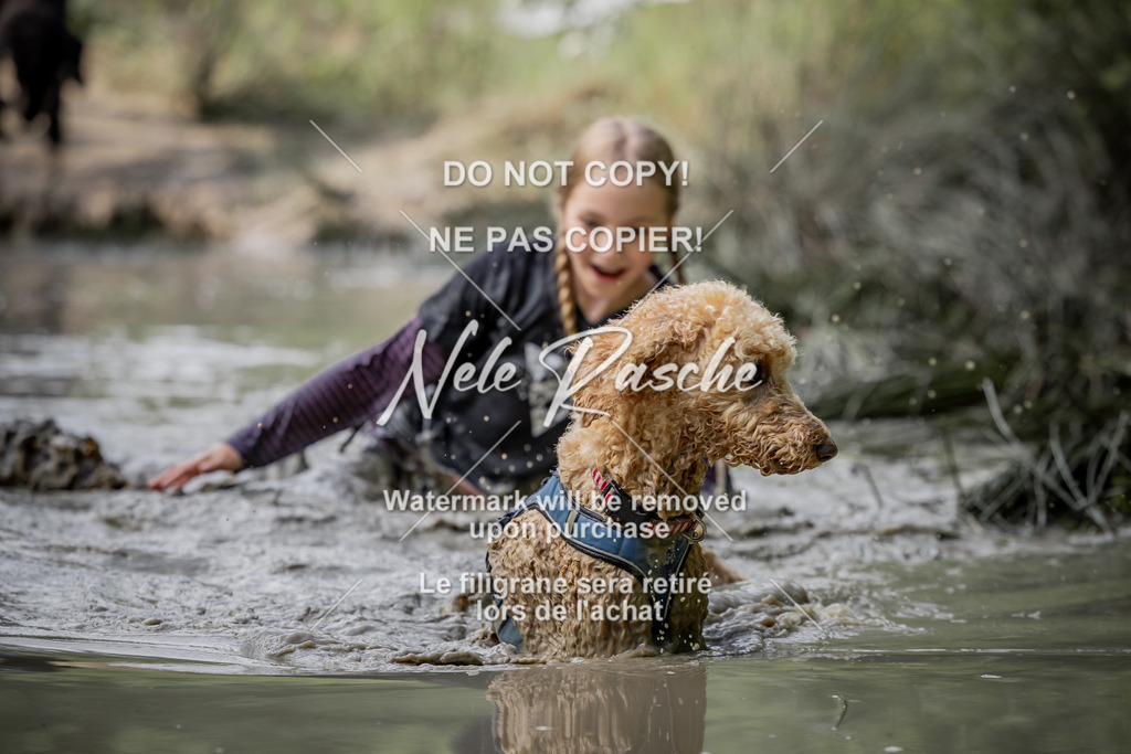 nelerasche_so0800-0930_51 | nelerasche