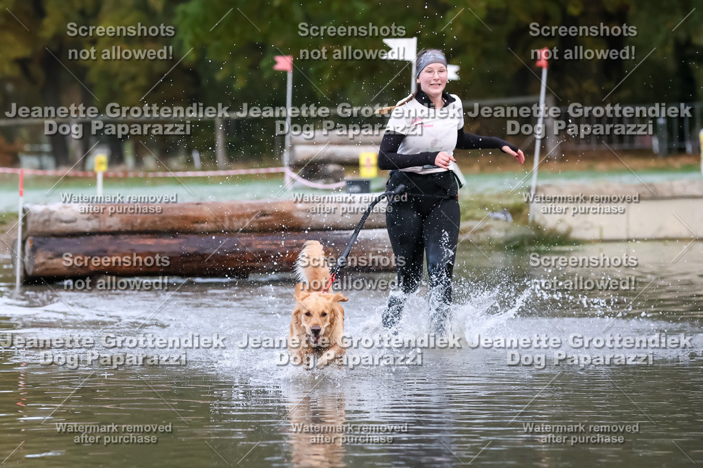 Dog Paparazzi - Strongdog 10-25-6118 | Dog Paparazzi Jeanette Grottendiek Fotografie & Videografie - Realisiert mit Pictrs.com