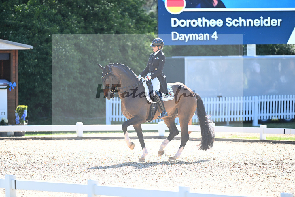Schneider_Dayman_11253895 | hf-fotografie - Realisiert mit Pictrs.com