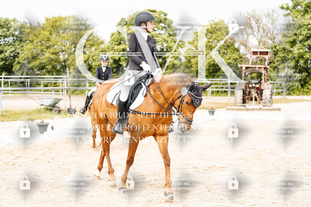 CK904523 | Turnierfotografie Pferdefotografie Trier Rheinland-Pfalz Pferdesport Reitsport Tierfotografie Sportfotografie Pferdevideo Pferdevideografie Equestrianvideography equestrianphotography  - Realisiert mit Pictrs.com