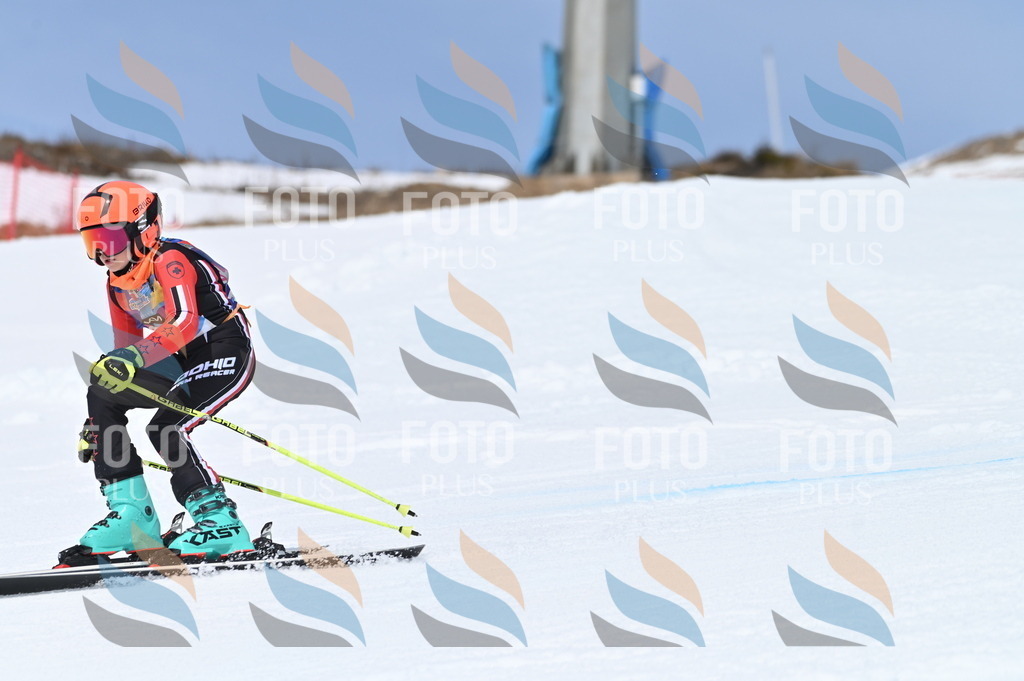 BGV_2157 | holidayphoto