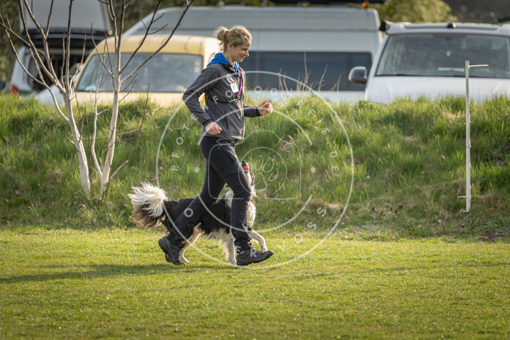 Pfotenfotografie_DV3A4744 | Hundefotografie, Tierfotograf, Pfotenfotografie, Fotoshooting Hund, Hunde Portrait, Hundesport, Hundeportraits, Heideshooting, Hunde, Sportfotograf, Hundefotograf, Turnierhundsport, THS,  - Realisiert mit Pictrs.com