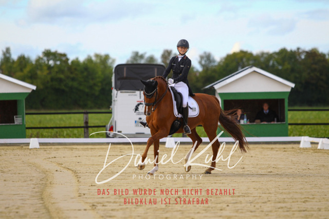 DKP44376 | Turniersportfotografie; Pferdefotografie; Dressurfotografie