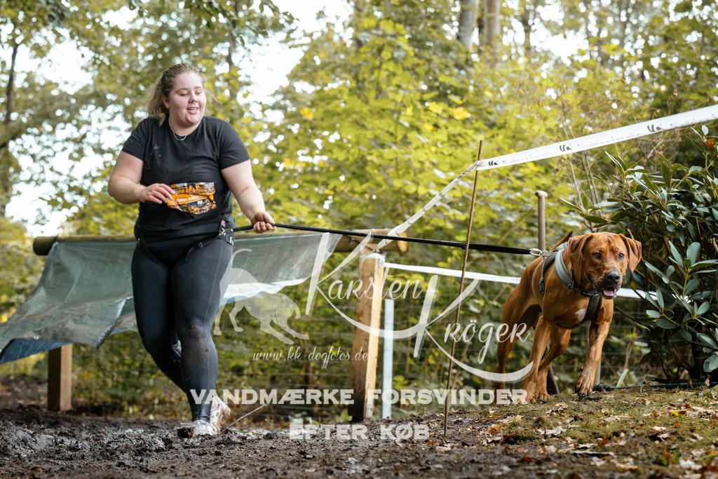 1427DZ6_2100Z6 | kk-dogfotos