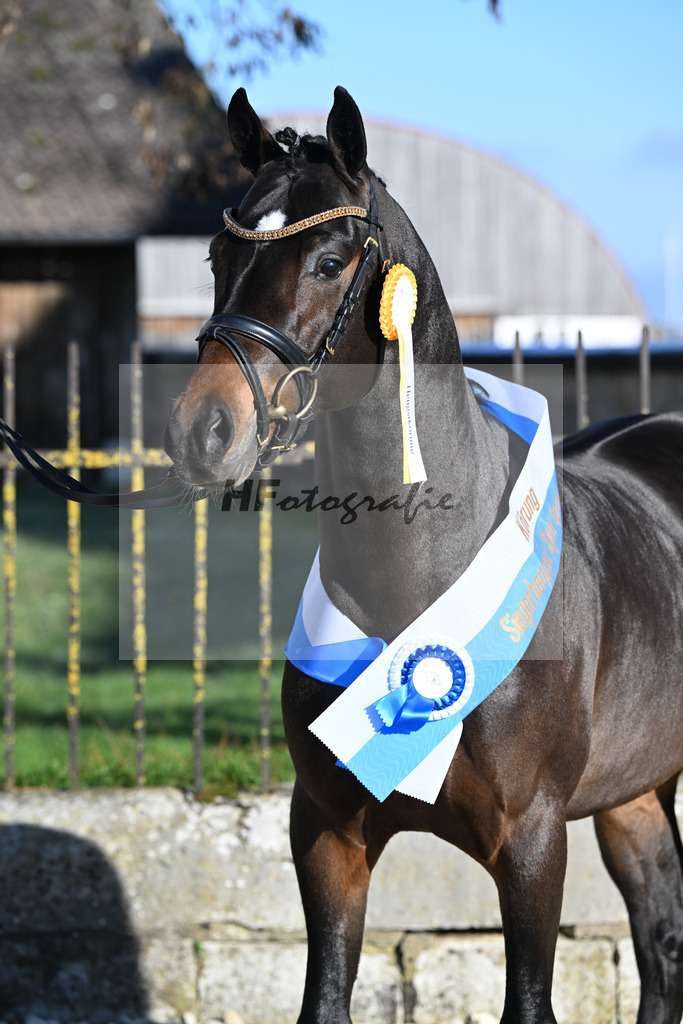 Kat-Nr. 6 Junkbrunnens Nomen est Omen v. Neverland WE_Thomas_49250332 | hf-fotografie - Realisiert mit Pictrs.com