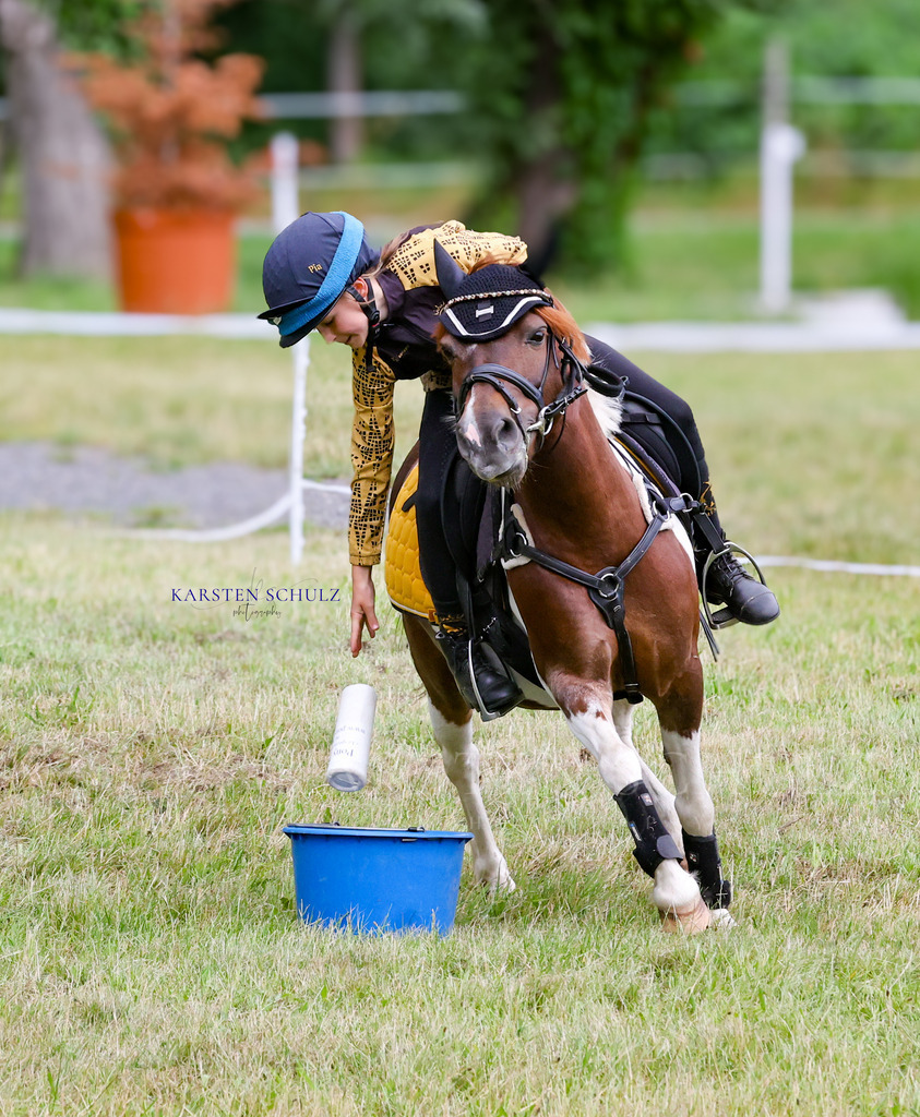 1B3A0377 | Reitsport Reiten