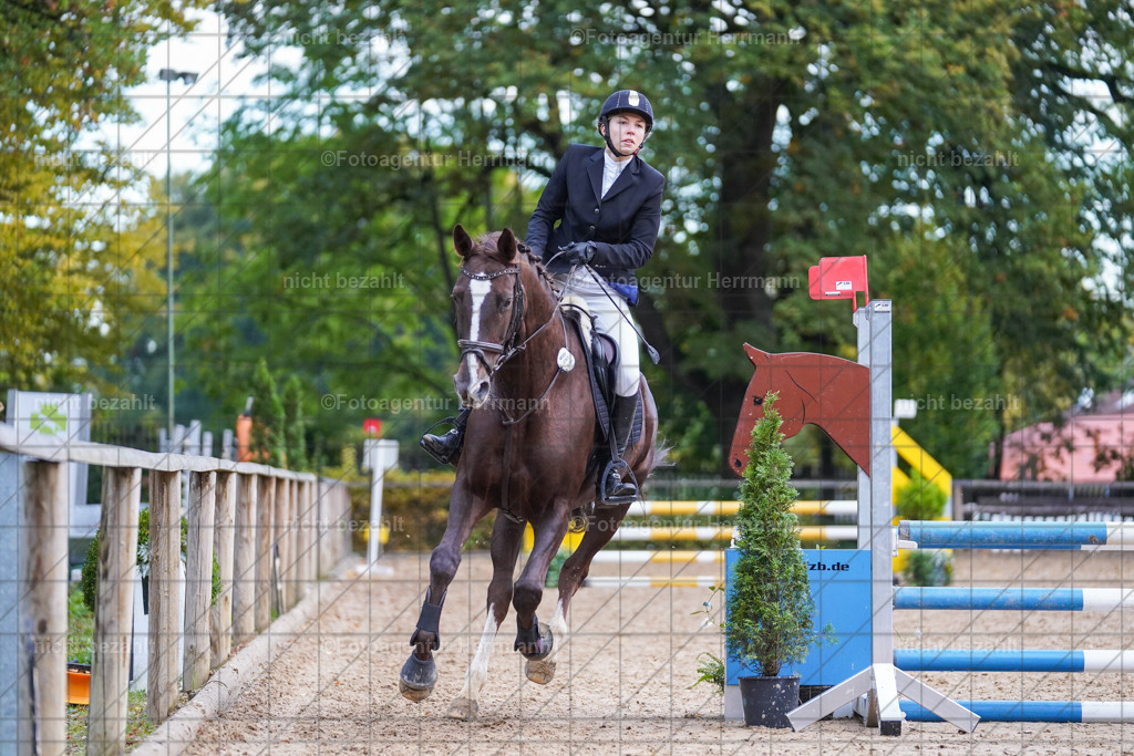 20221009-FAH08259 | Diessen am Ammersee, 2022, Dressur- und Springturnier, Reitsportbilder, Turnierfotografen Bayern, Pferdefotografen, Fotoagentur Herrmann, Turnierbilder