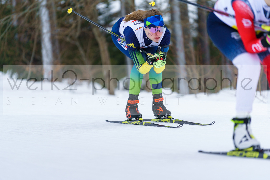 DSC Arber | Bayerischer Wald am 9. bis 12. Februar 2023
