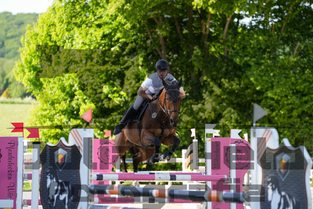 DSC02472 | Julian Held Fotografie - Realisiert mit Pictrs.com