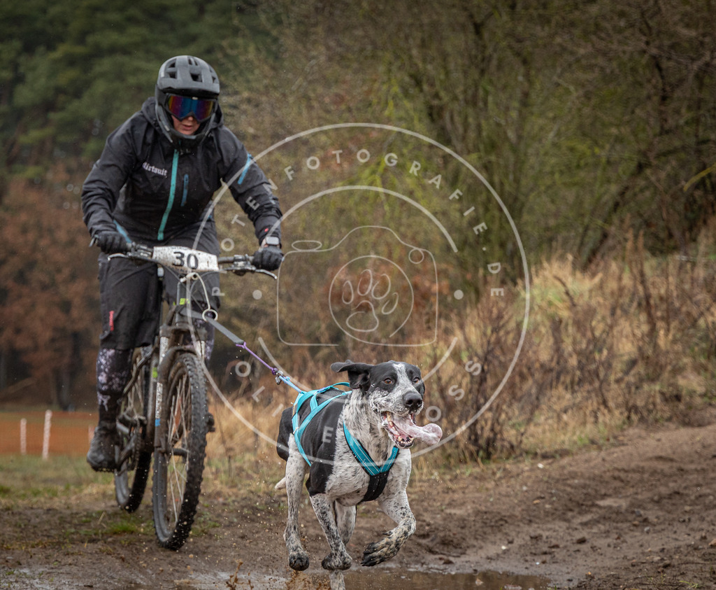 0L8A8940 | Hundefotografie, Tierfotograf, Pfotenfotografie, Fotoshooting Hund, Hunde Portrait, Hundesport, Hundeportraits, Heideshooting, Hunde, Sportfotograf, Hundefotograf, Turnierhundsport, THS,  - Realisiert mit Pictrs.com