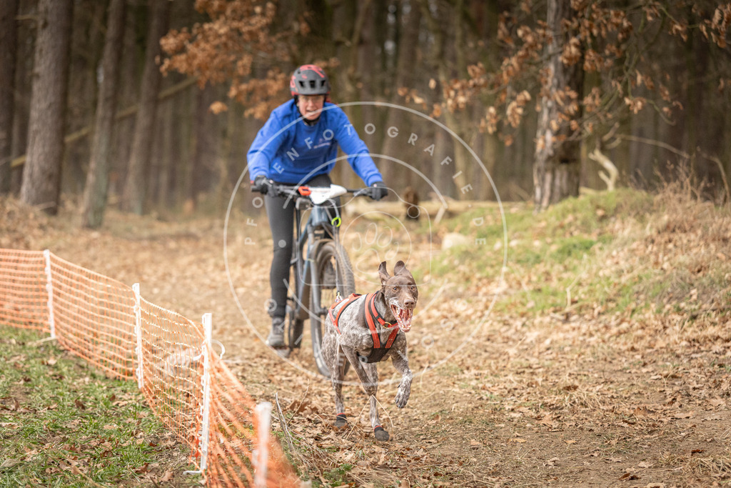 Pfotenfotografie_DV3A3313 | Hundefotografie, Tierfotograf, Pfotenfotografie, Fotoshooting Hund, Hunde Portrait, Hundesport, Hundeportraits, Heideshooting, Hunde, Sportfotograf, Hundefotograf, Turnierhundsport, THS,  - Realisiert mit Pictrs.com
