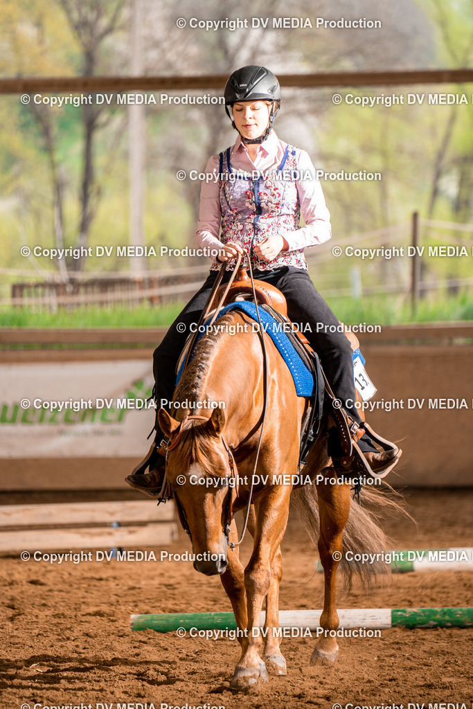 BA300315 | dv-media-shop - Realisiert mit Pictrs.com