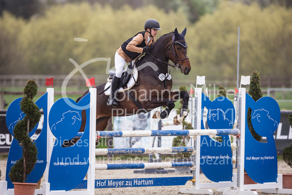 250417_Springpferde-L1-273 | Deine schönsten Turniermomente als professionelle Fotos! Entdecke hochwertige Pferdesport-Fotografie im Online-Shop. Jetzt Fotos finden & bestellen!