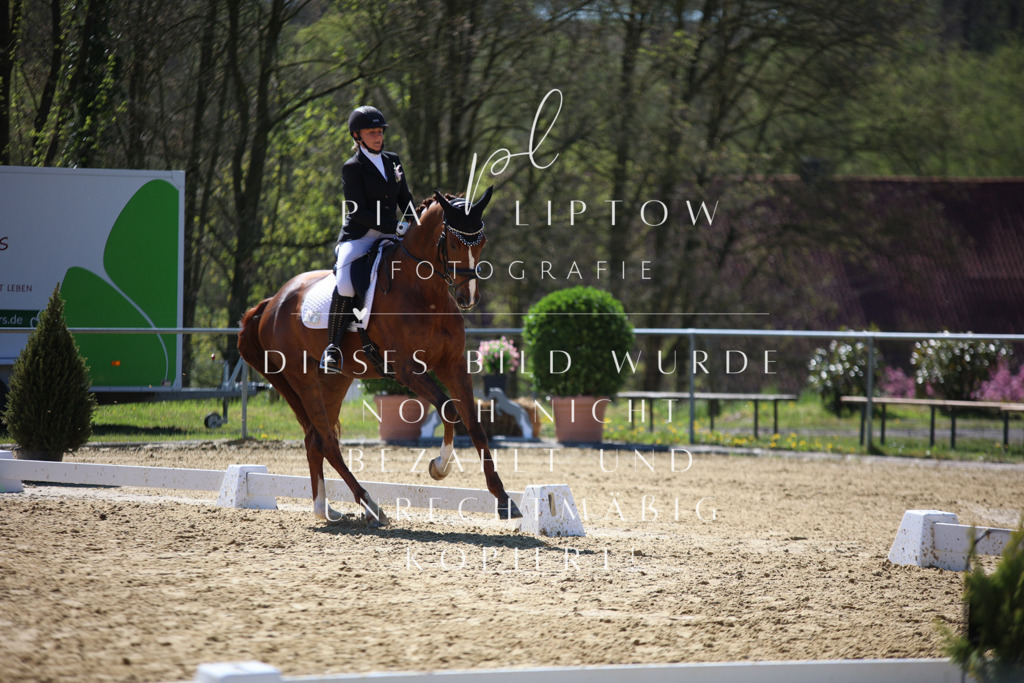 IMGT1093 | pl-fotografie