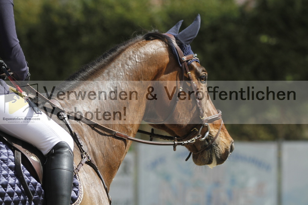 _MG_5173 | equestrian-live-com