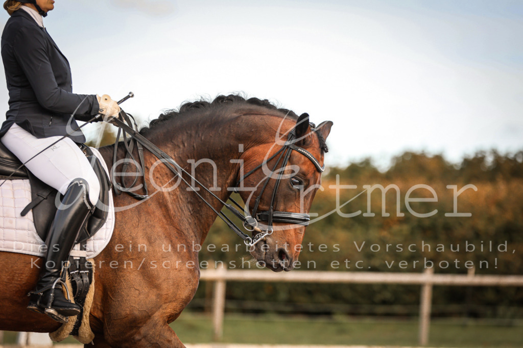 17.SoDrM00348 | Leoni Ertmer Photography - Realisiert mit Pictrs.com